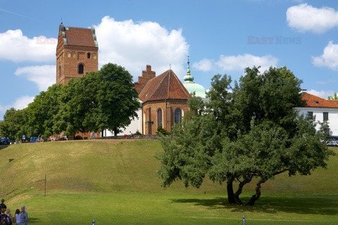 Polska RaJa
