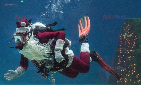 Podwodny św. Mikołaj