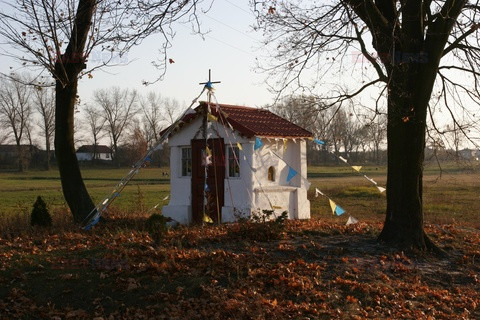 Polska RaJa