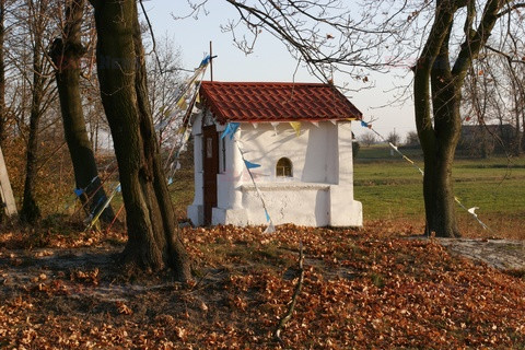 Polska RaJa