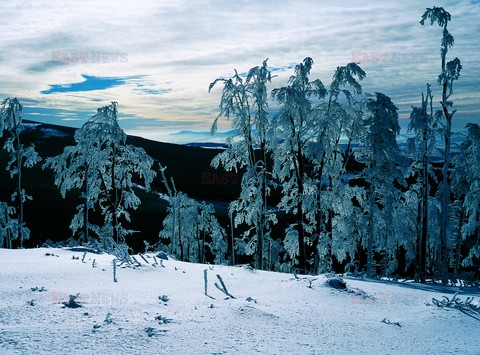 Polska RaJa