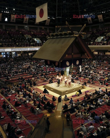 Zawody sumo w Tokio