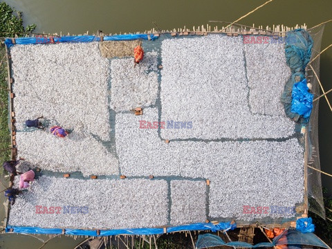 Suszenie ryb w Bangladeszu