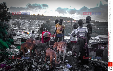 Życie w slumsach Nairobi - REX