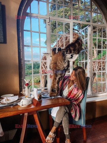 Z wizytą w hotelu Giraffe Manor w Nairobi