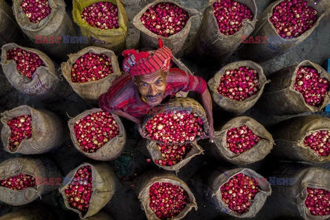 Zbiór ziemniaków w Bangladeszu