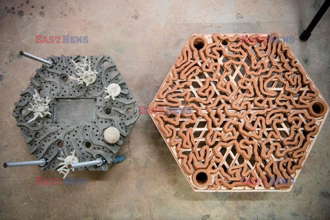 Rafy dla koralowców z drukarki 3D