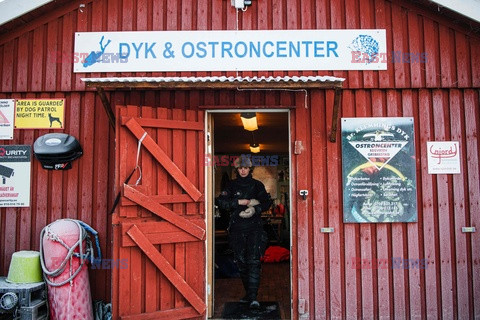 Jedyna poławiaczka ostryg w Szwecji - AFP