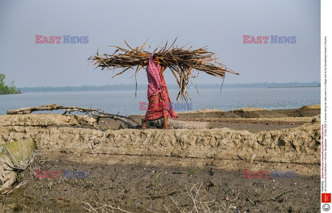 Życie koło Sundarbanów w Bangladeszu - REX