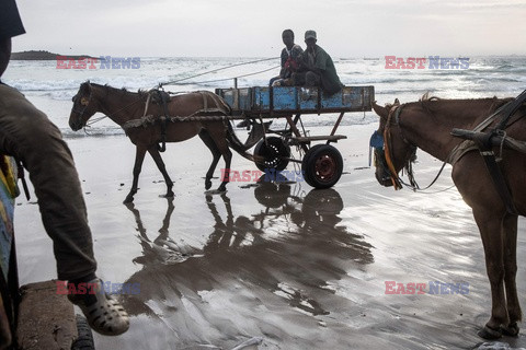 Konie pracujące w Dakarze - AFP