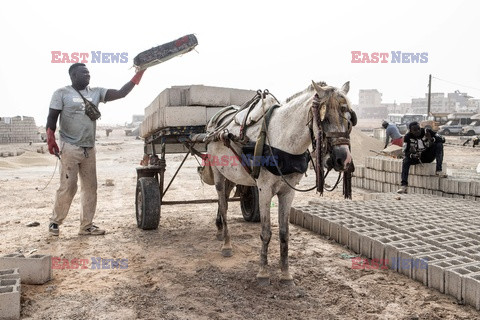 Konie pracujące w Dakarze - AFP