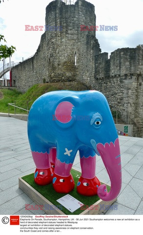 Malowane słonie
