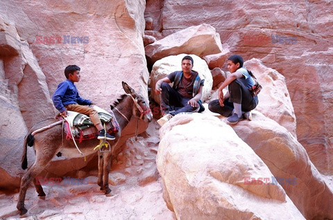Osły dla turystów w Jordanii