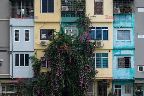 Wąskie domy w Hanoi