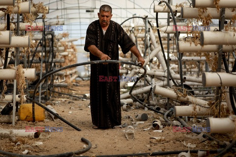 Szklarnia zniszczona przez izraelskie naloty