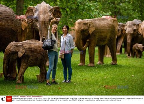 Drewniane słonie w londyńskim parku