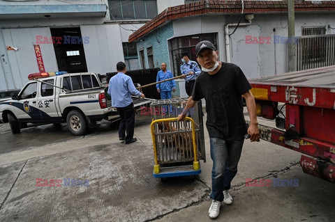 Mnich ratuje zwierzęta w Chinach