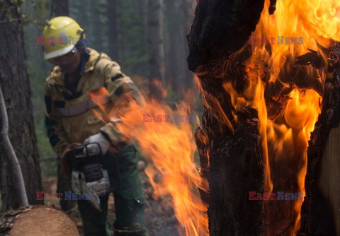 Ogromne pożary lasów na Syberii