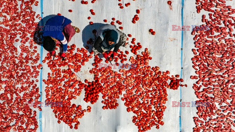 Suszenie pomidorów w Diyarbakir