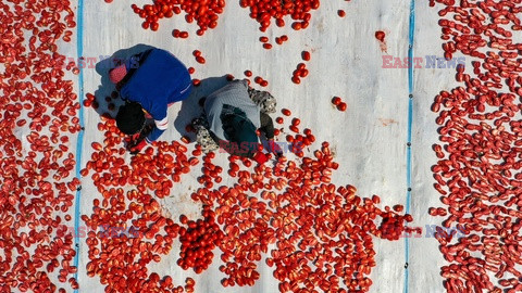 Suszenie pomidorów w Diyarbakir