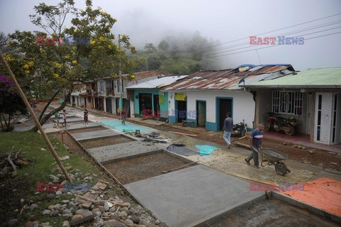 Uprawa koki w Kolumbii - AFP