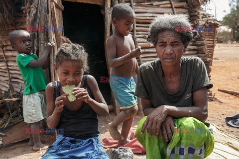 Głód na Madagaskarze - AFP