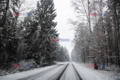 Pierwszy śnieg na pograniczu Polski i Białorusi