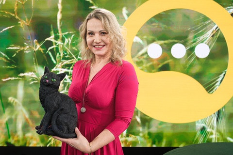Dzień Dobry TVN i jego goście - listopad 2021