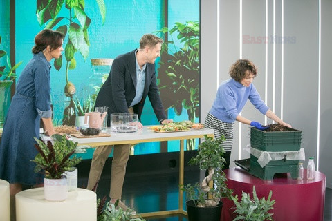 Dzień Dobry TVN i jego goście - listopad 2021