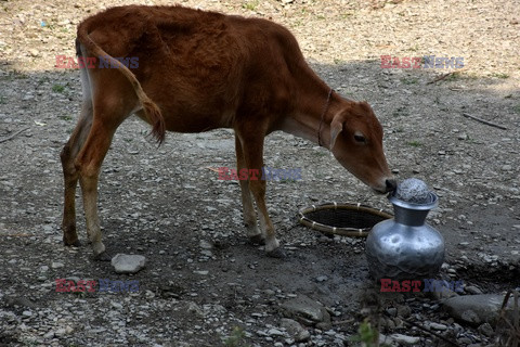 Braki wody w Rangamati w Bangladeszu - Abaca