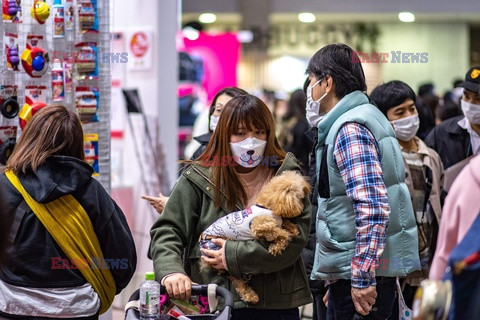 Targi dla właścicieli zwierzaków domowych w Tokio