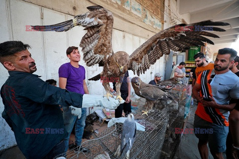 Na zwierzęcym targu w Bagdadzie- AFP