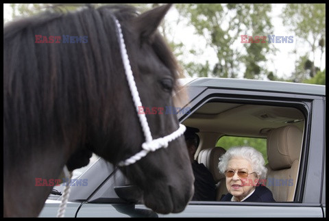 Królowa Elżbieta ogląda pokaz koni
