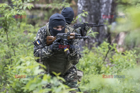 Wojna w Ukrainie - Obrona Terytorialna
