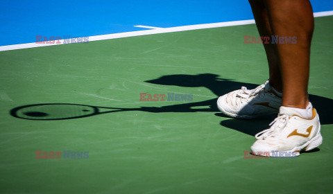 Turniej tenisowy Polish Open