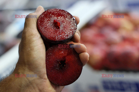Genetycznie modyfikowane owoce w Izraelu
