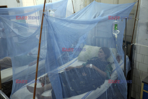Gorączka Denga w Pakistanie