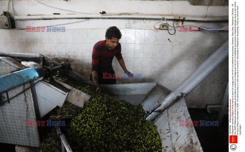 Tradycyjna produkcja oliwy w Strefie Gazy