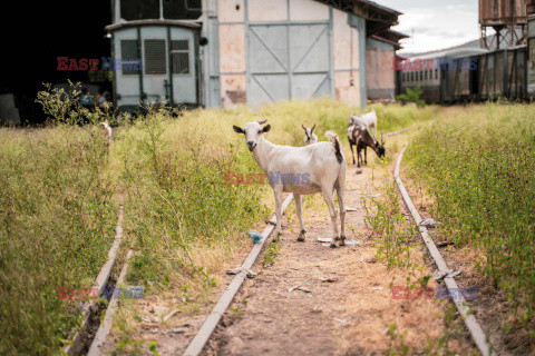 Stara linia kolejowa w Etiopii - AFP
