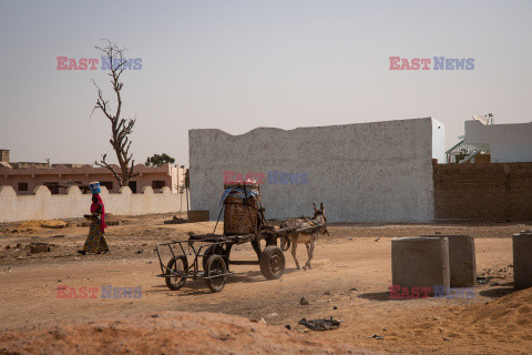 Zmainy klimatu w Mali - Pictorium