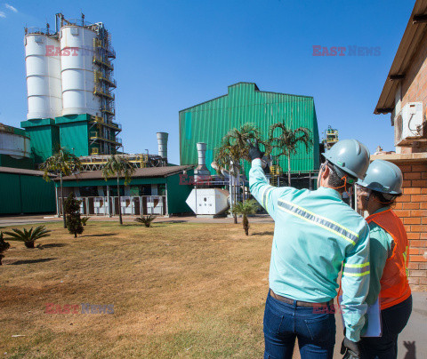 Biopaliwo w Brazylii - Redux