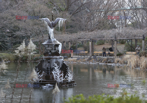 Zamarznięta fontanna z żurawiem
