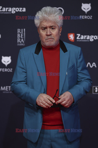 Pedro Almodovar uhonorowany nagrodą Feroz