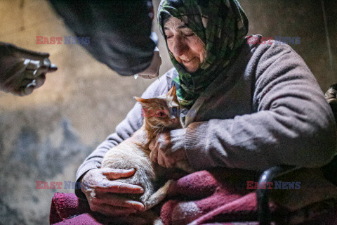 Kobieta opiekuje się kotami w Idlib w Syrii