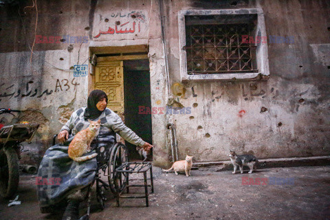Kobieta opiekuje się kotami w Idlib w Syrii