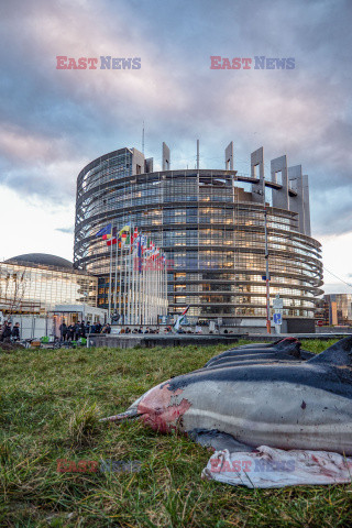 Protest Sea Shepherd przed Parlamentem Europejskim w Strasbourgu