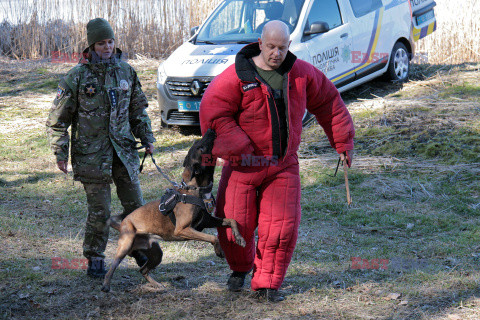Nowe samochody dla psów policyjnych na Ukrainie