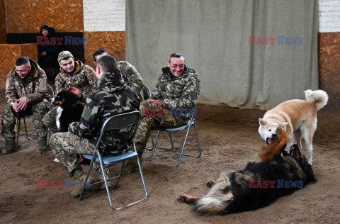 Hipoterapia dla ukraińskich żołnierzy