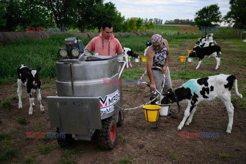 Rolnictwo w Argentynie - AFP
