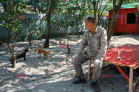 Koty uratowane przed zjedzeniem w Chinach